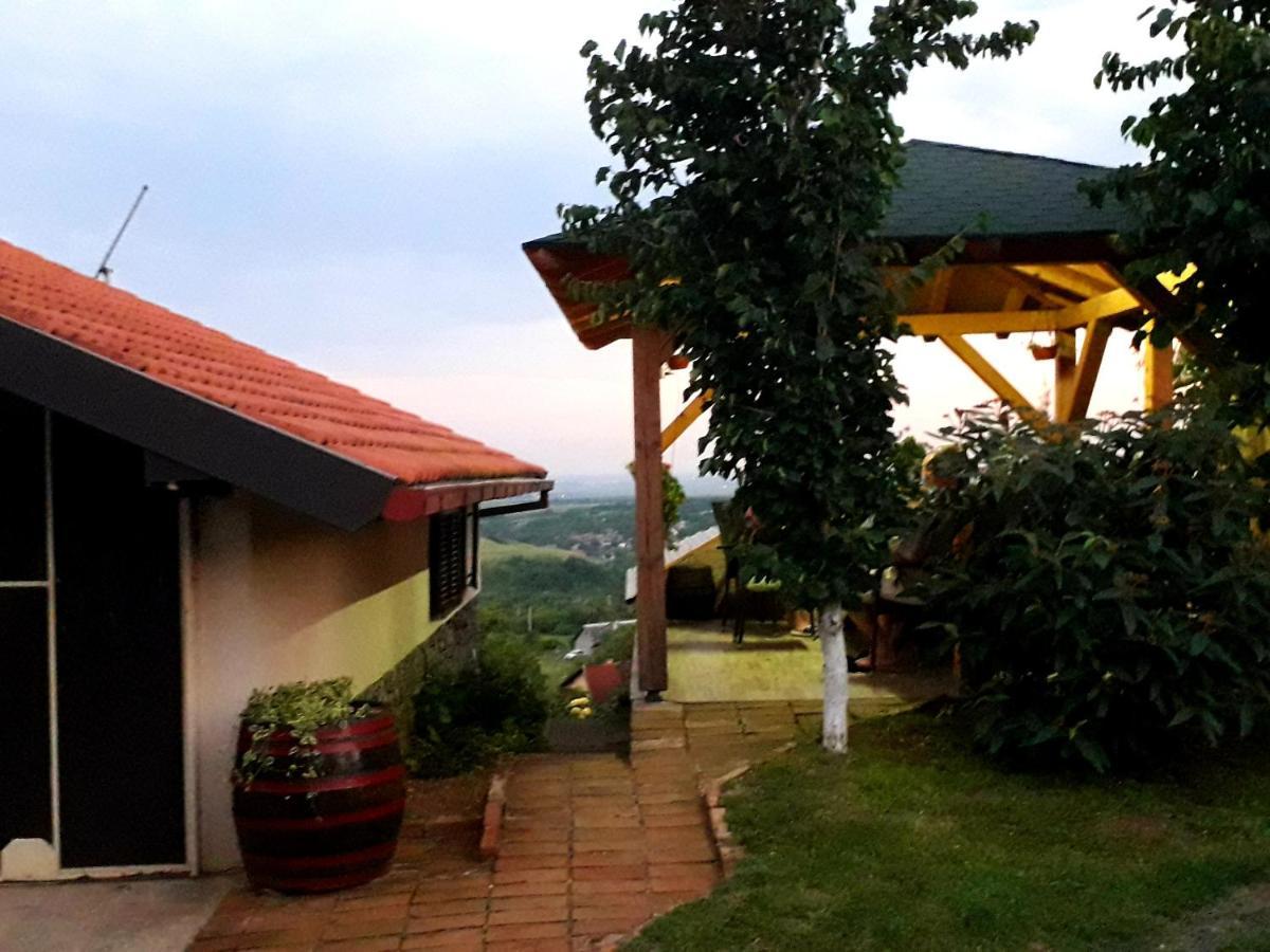 Apartment Noletov Vidikovac Vrdnik Esterno foto