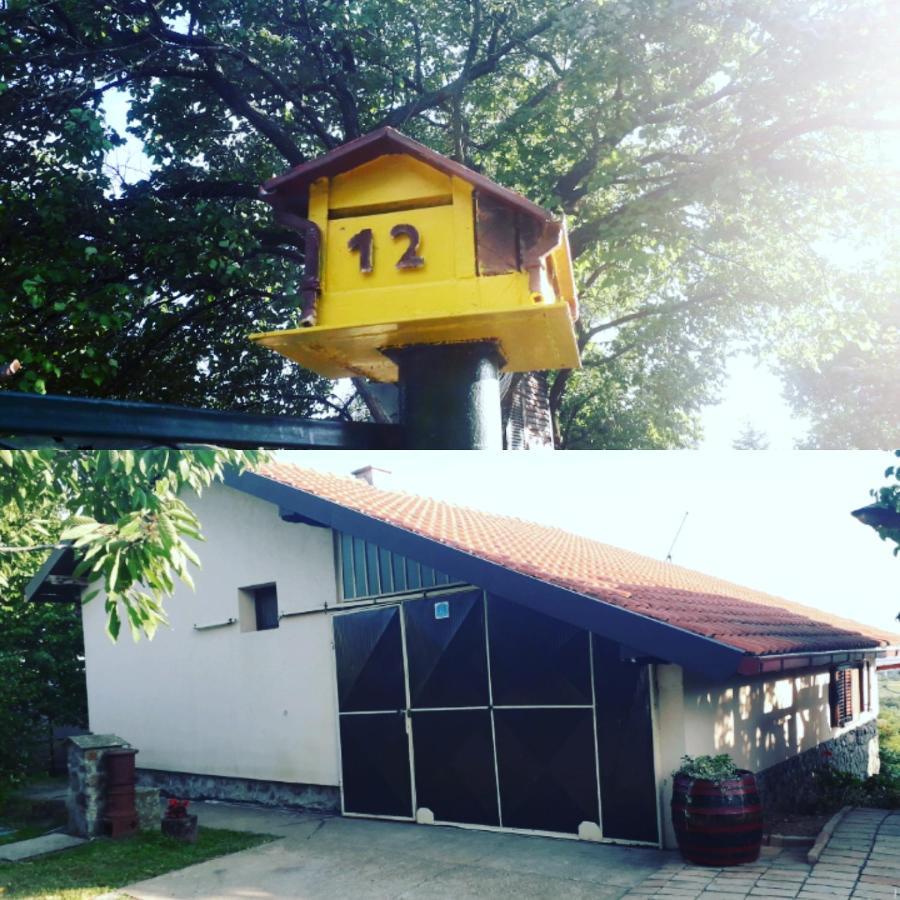 Apartment Noletov Vidikovac Vrdnik Esterno foto