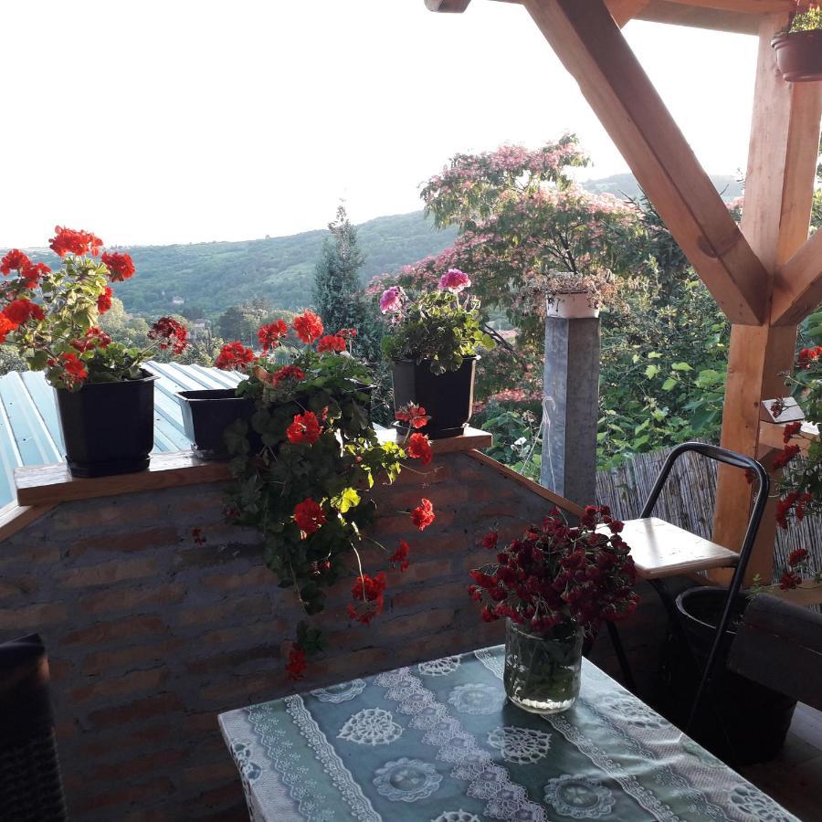 Apartment Noletov Vidikovac Vrdnik Esterno foto