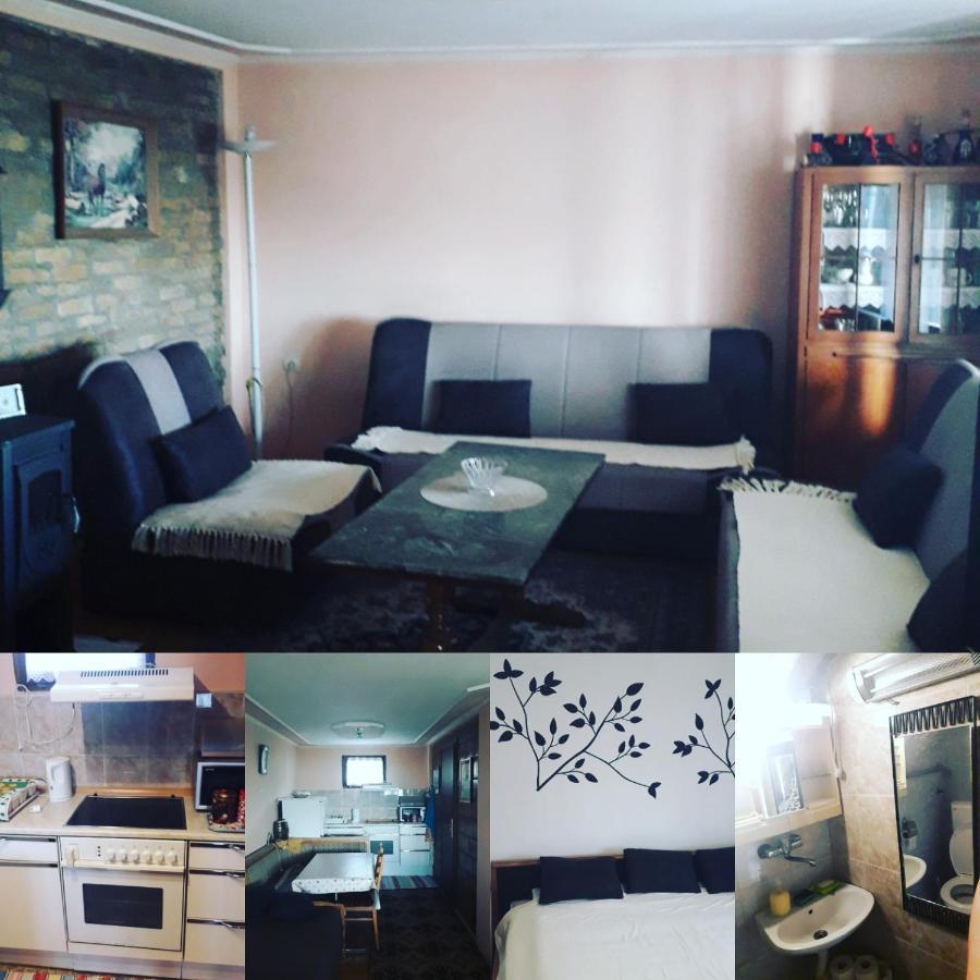 Apartment Noletov Vidikovac Vrdnik Esterno foto
