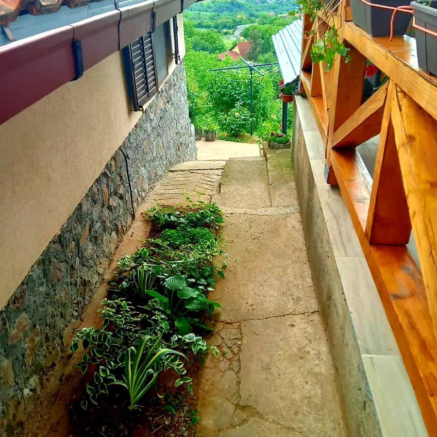 Apartment Noletov Vidikovac Vrdnik Esterno foto