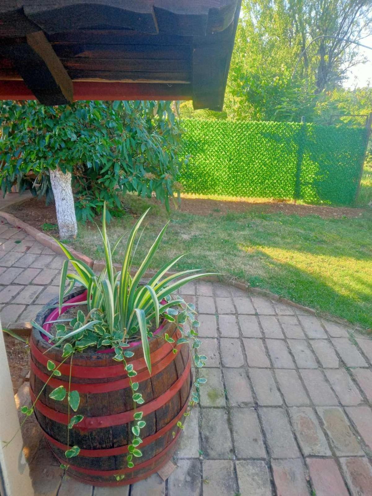 Apartment Noletov Vidikovac Vrdnik Esterno foto