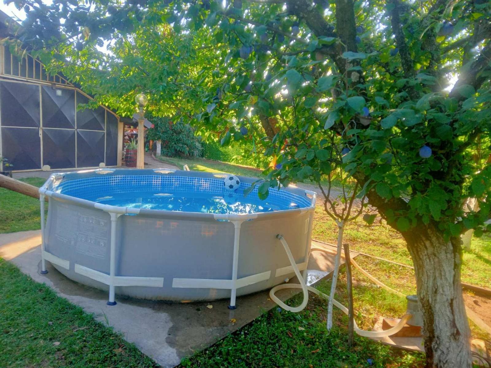 Apartment Noletov Vidikovac Vrdnik Esterno foto