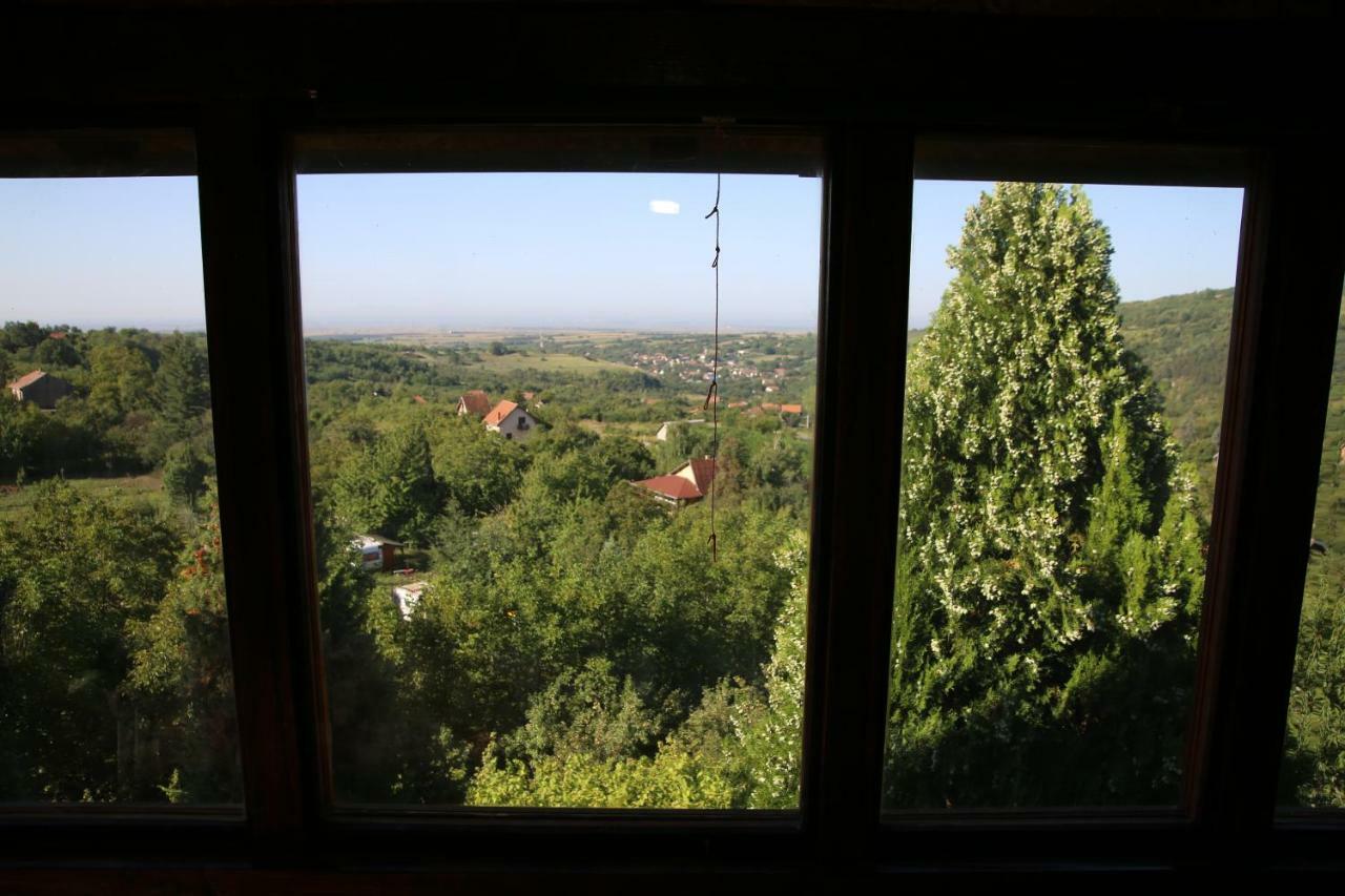 Apartment Noletov Vidikovac Vrdnik Esterno foto