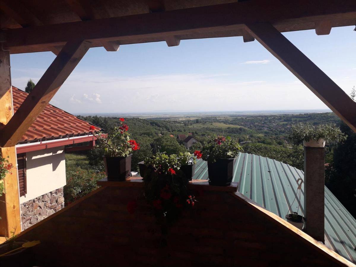 Apartment Noletov Vidikovac Vrdnik Esterno foto